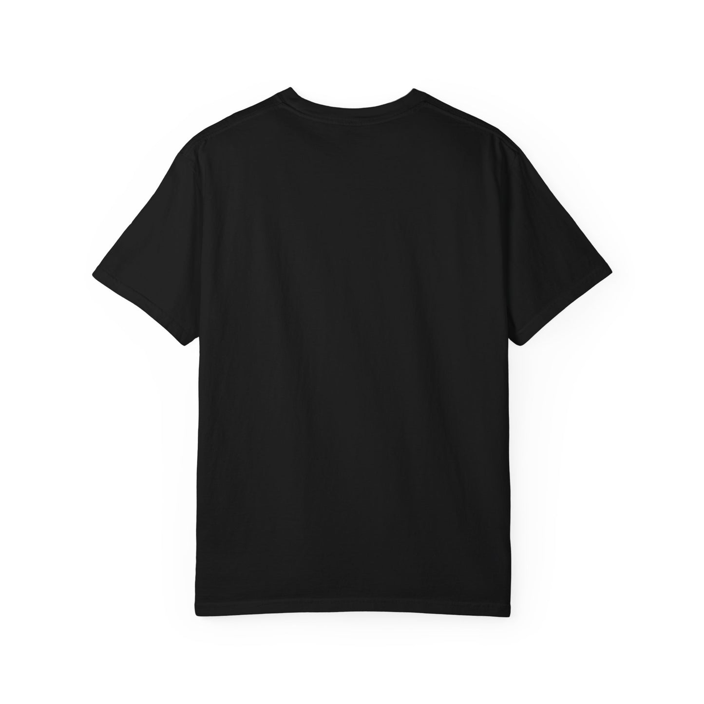 Batman & Robin Graphic T-Shirt — Dark City Comic Print