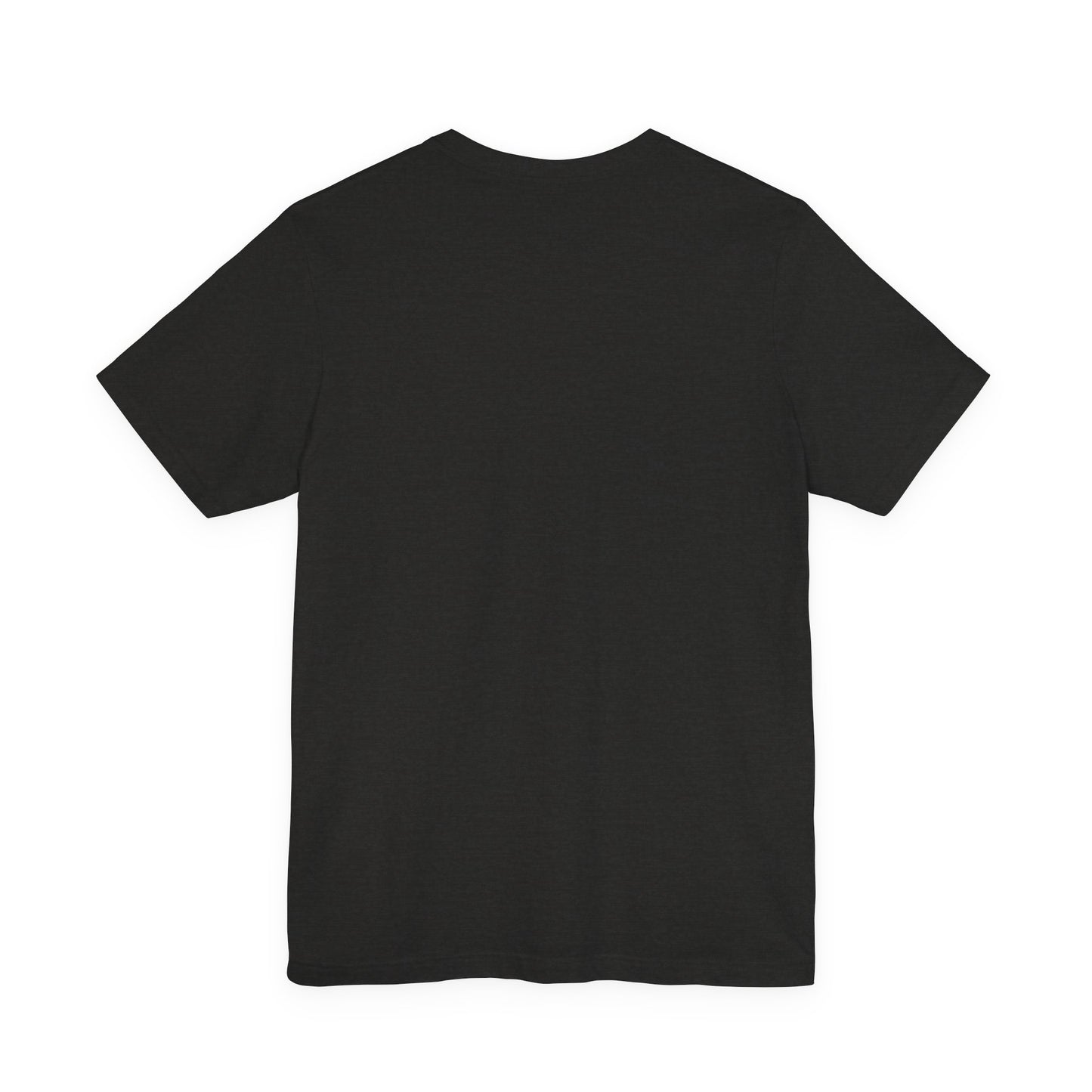 Batman & Robin Graphic T-Shirt (another publisher option)
