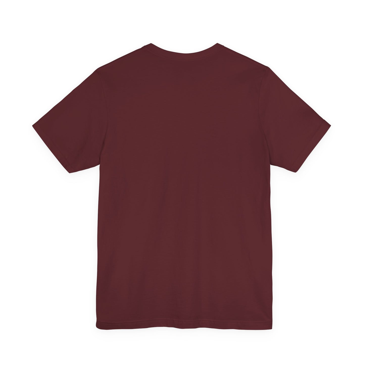 Batman & Robin Graphic T-Shirt (another publisher option)
