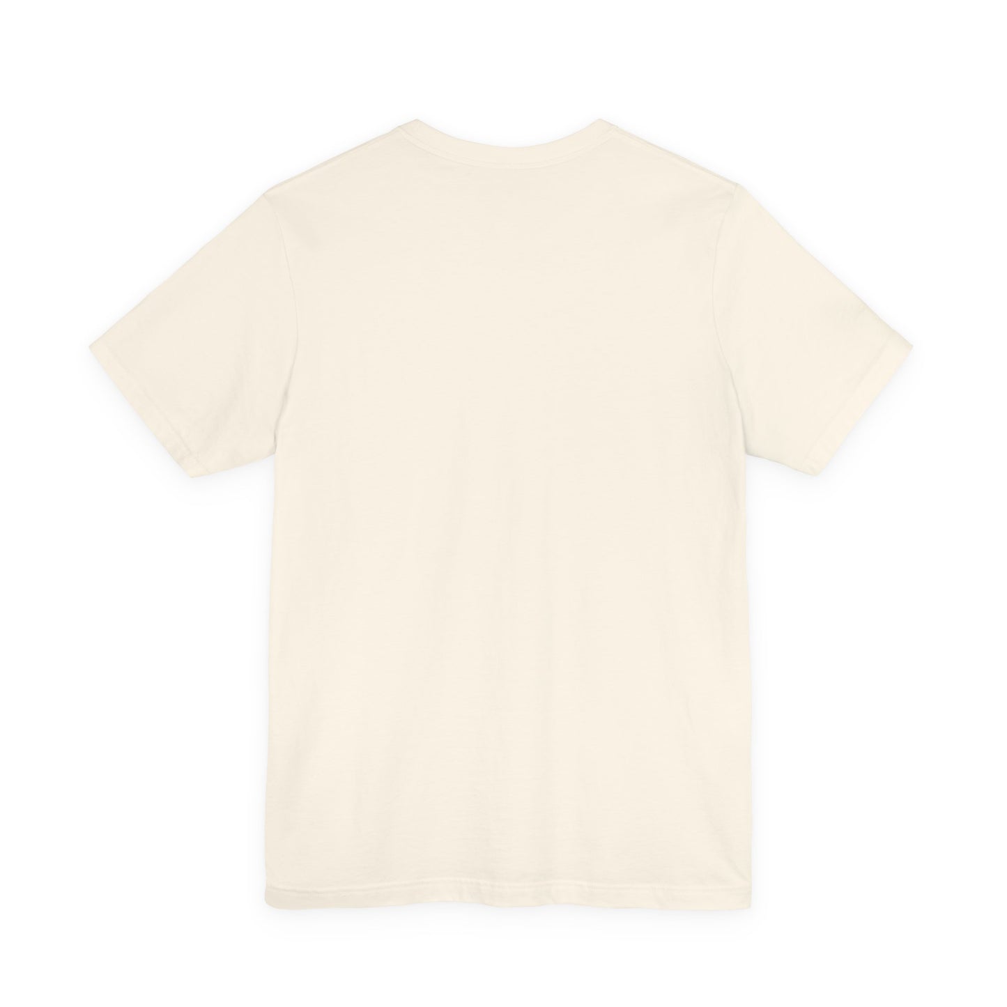 Batman & Robin Graphic T-Shirt (another publisher option)